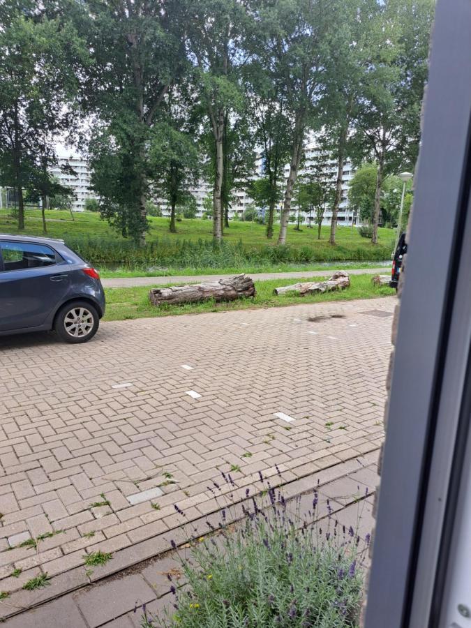 Dubbelink 3A Lägenhet Amsterdam Exteriör bild