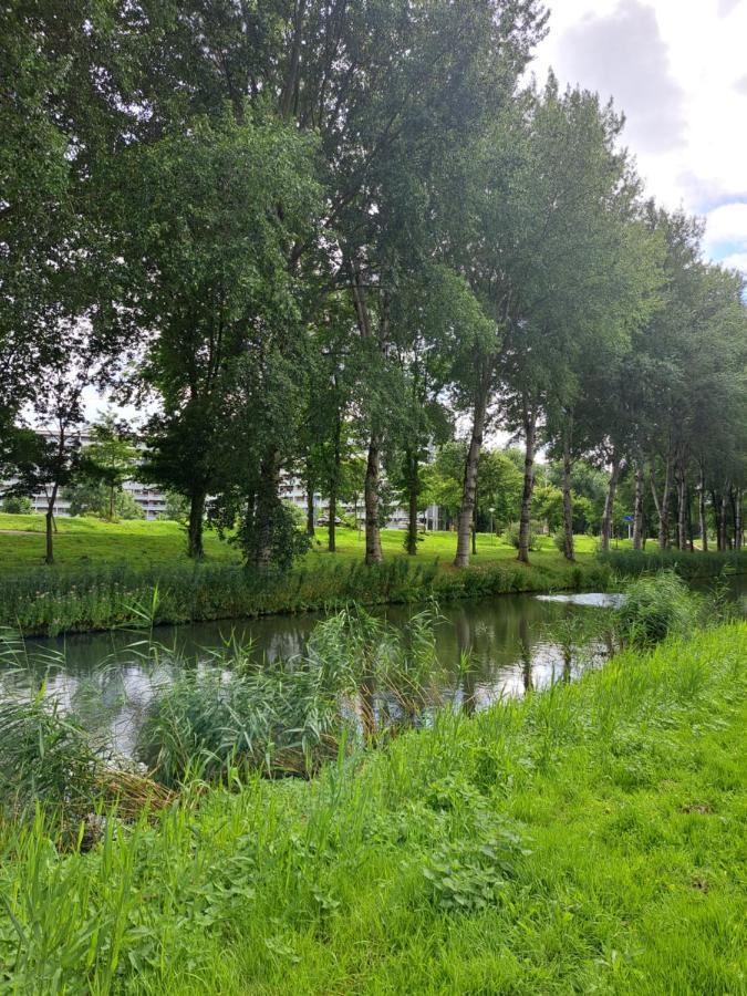 Dubbelink 3A Lägenhet Amsterdam Exteriör bild