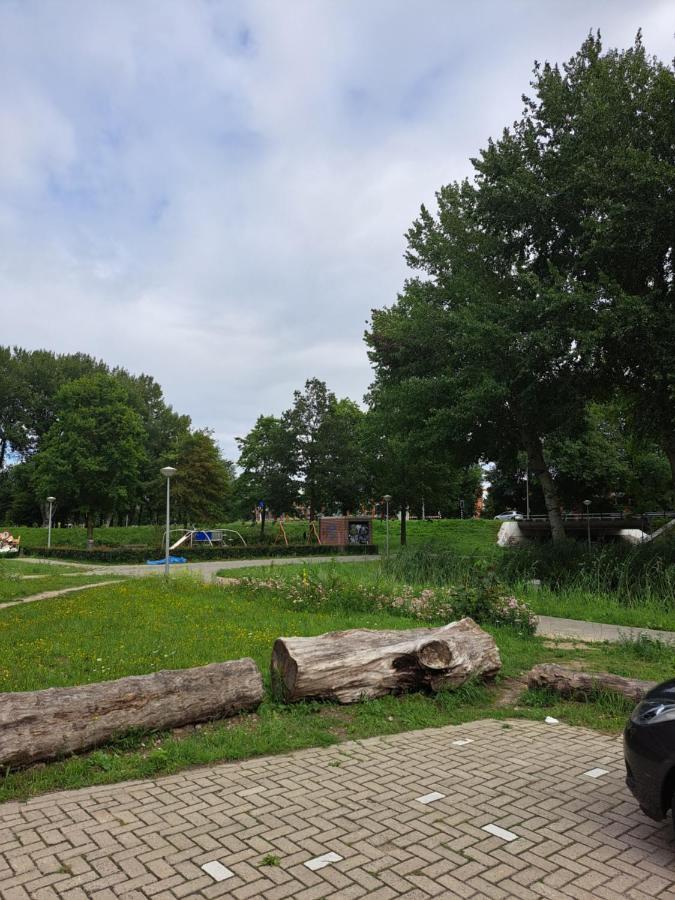 Dubbelink 3A Lägenhet Amsterdam Exteriör bild